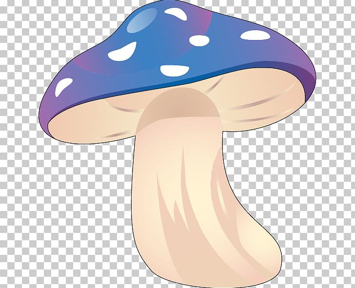Amanita Muscaria Common Mushroom Fungus PNG, Clipart, Amanita, Amanita Muscaria, Champignon, Common Mushroom, Dragon Fantasy Free PNG Download
