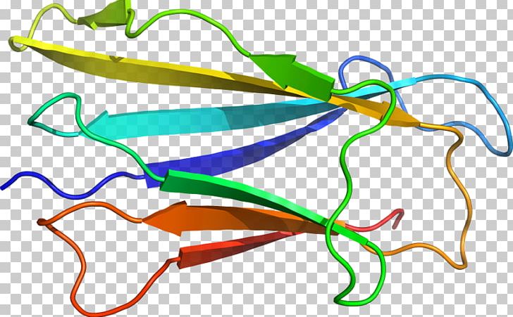 Line Point Product Plant Stem PNG, Clipart, Art, Line, Organism, Plant Stem, Point Free PNG Download