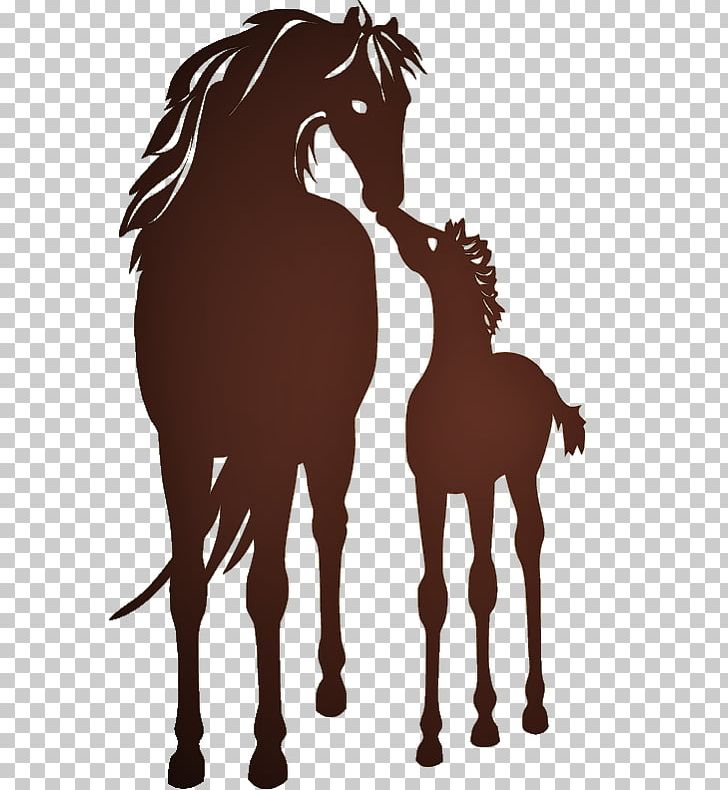 Mustang Colt Mare Stallion Pony PNG, Clipart, Camel Like Mammal, Colt, Equestrian, Foal, Halter Free PNG Download