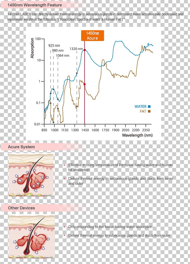 Organism Line Angle PNG, Clipart, Angle, Area, Diagram, Human Body, Joint Free PNG Download