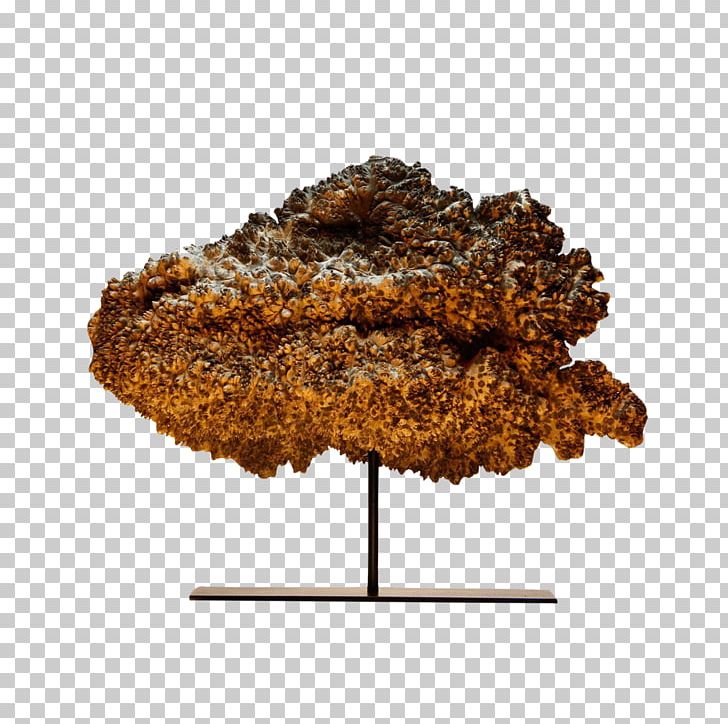 Bird Food Maine-et-Loire Perroquet Kilogram PNG, Clipart, Animals, Bird, Carnival Corporation Plc, Carnival Cruise Line, Dramatic Free PNG Download