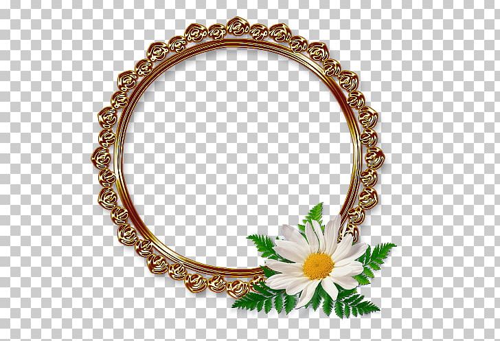 Margarida Common Daisy Margarita Flower Sweetie Belle PNG, Clipart, Aielo De Malferit, Bangle, Bracelet, Common Daisy, Fashion Accessory Free PNG Download