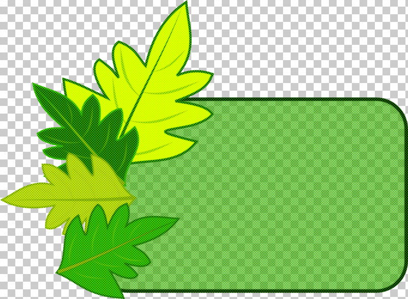Leaf Green Yellow Plant Tree PNG, Clipart, Flower, Grass, Green, Leaf, Plant Free PNG Download