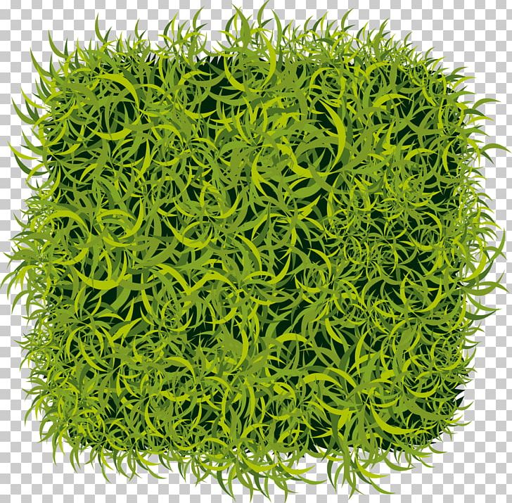 Artificial Turf Lawn Wall Green PNG, Clipart, Artificial Flower, Background Green, Basket, Botany, Decorative Free PNG Download