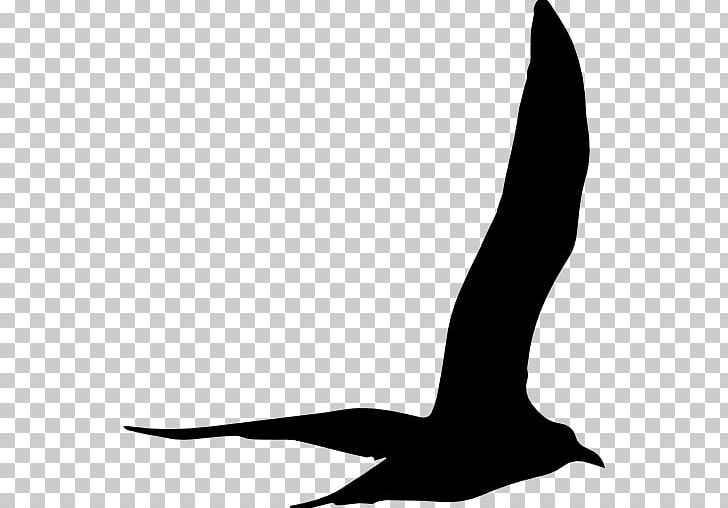 Black And White Beak Shoe Font Pattern PNG, Clipart, Animals, Beak, Bird, Black And White, Design Free PNG Download