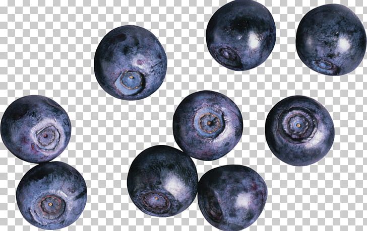 Blueberries PNG, Clipart, Blueberries Free PNG Download