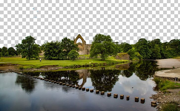 Bolton Abbey Embsay PNG, Clipart, 3d Three Dimensional Flower, Abbey, Bank, Download, Fam Free PNG Download