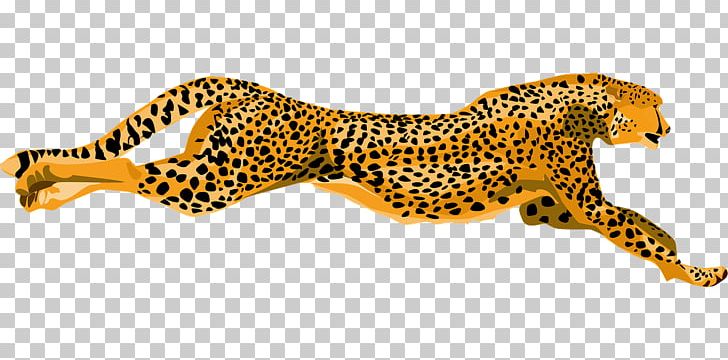 Cheetah Leopard Jaguar PNG, Clipart, Animal, Animal Figure, Animals, Big Cat, Big Cats Free PNG Download