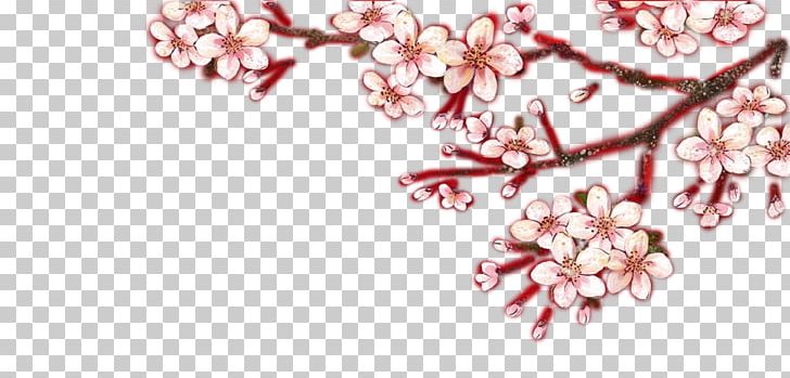 Cherry Blossom Petal Fashion Accessory Jewellery PNG, Clipart, Branch, Cherry, Decorative, Decorative Background, Fashion Accessory Free PNG Download