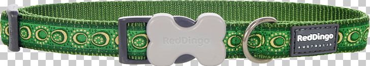 Dog Dingo Leash Green Collar PNG, Clipart, Animals, Brand, Clothing Accessories, Collar, Color Free PNG Download