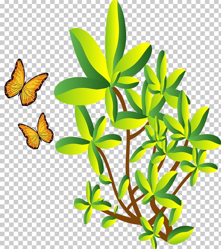 Drawing Trasforini Massimo & Eros Leaf PNG, Clipart, Animated Film, Brahma, Butterfly, Cartoon, Color Free PNG Download