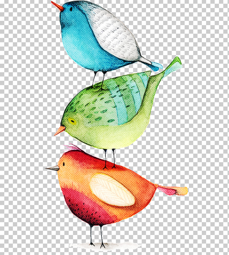 Bird Perching Bird Beak Songbird PNG, Clipart, Beak, Bird, Perching Bird, Songbird Free PNG Download