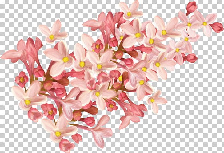Flower Pink PNG, Clipart, Blossom, Branch, Cherry Blossom, Clip Art, Cut Flowers Free PNG Download