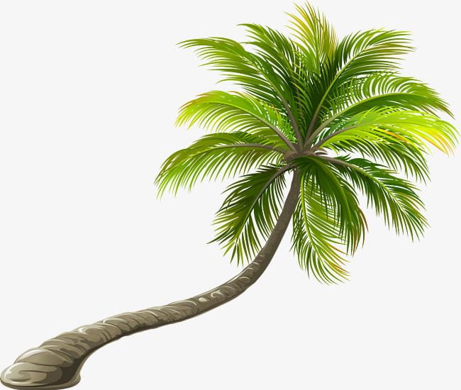 Green Twisted Coconut Trees PNG, Clipart, Coconut, Coconut Clipart, Coconut Clipart, Coconut Trees, Decorative Free PNG Download