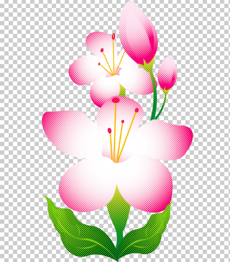 Lily Flower Floral PNG, Clipart, Biology, Closeup, Cut Flowers, Floral, Floral Design Free PNG Download