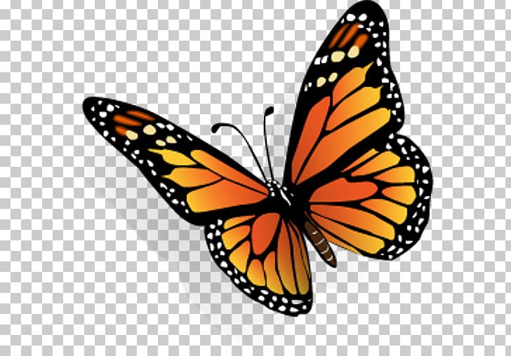 Butterfly Computer Icons Desktop PNG, Clipart, Aptoide, Arthropod, Brush Footed Butterfly, Butterfly, Clip Art Free PNG Download