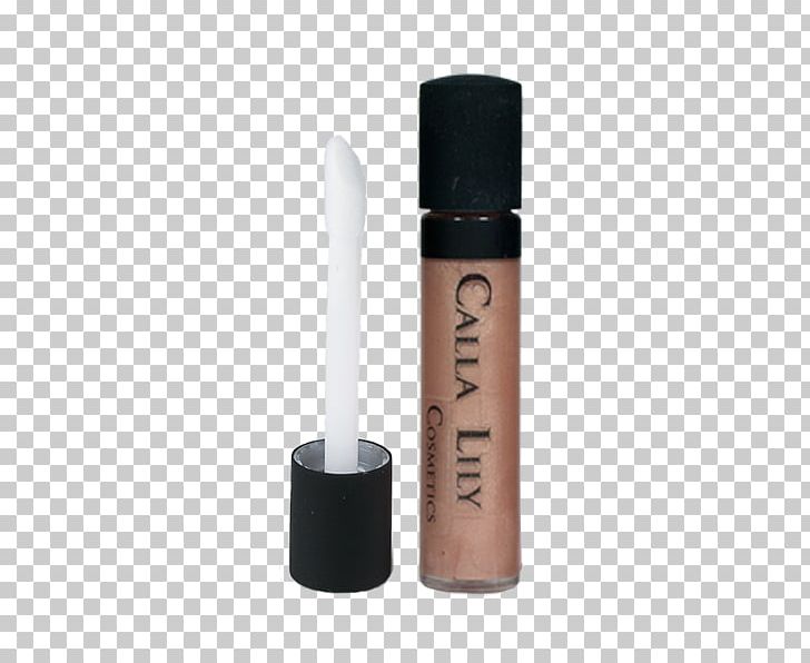 Cosmetics Lip Gloss Foundation Color Toner PNG, Clipart,  Free PNG Download