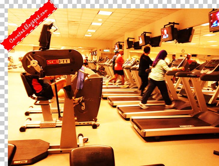 Fitness Centre Leisure PNG, Clipart, Fitness Centre, Gym, Leisure, Others, Room Free PNG Download