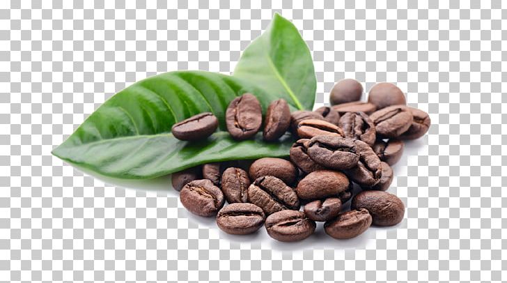 Jamaican Blue Mountain Coffee Cafe Chocolate-covered Coffee Bean Single-origin Coffee PNG, Clipart, Arabica Coffee, Bean, Cafe, Cocoa Bean, Coffea Free PNG Download