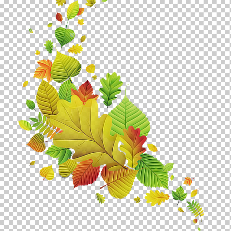 Floral Design PNG, Clipart, Biology, Branching, Flora, Floral Design, Flower Free PNG Download