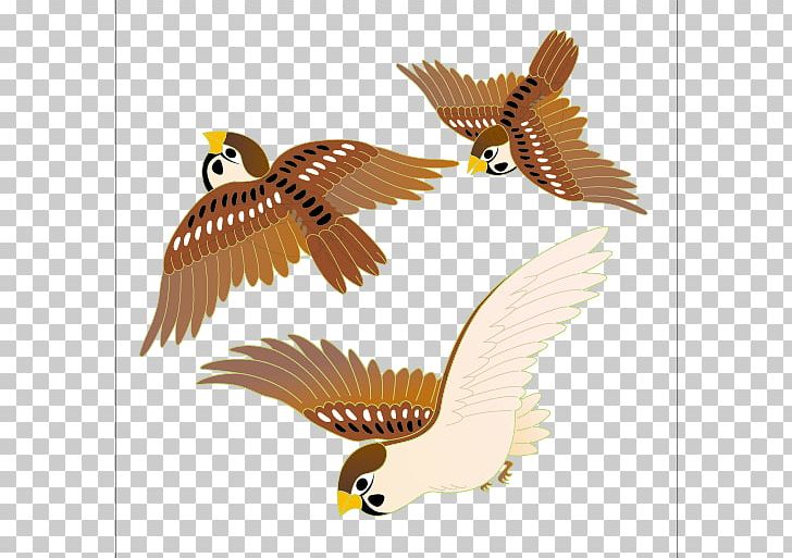 Bird PNG, Clipart, Animals, Beak, Birdandflower Painting, Coreldraw, Creative Vector Free PNG Download