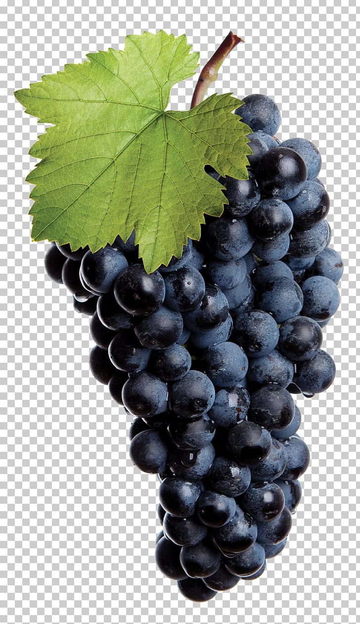 Common Grape Vine Red Wine White Wine Isabella PNG, Clipart, Berry, Bilberry, Flowering Plant, Food, Food Drinks Free PNG Download