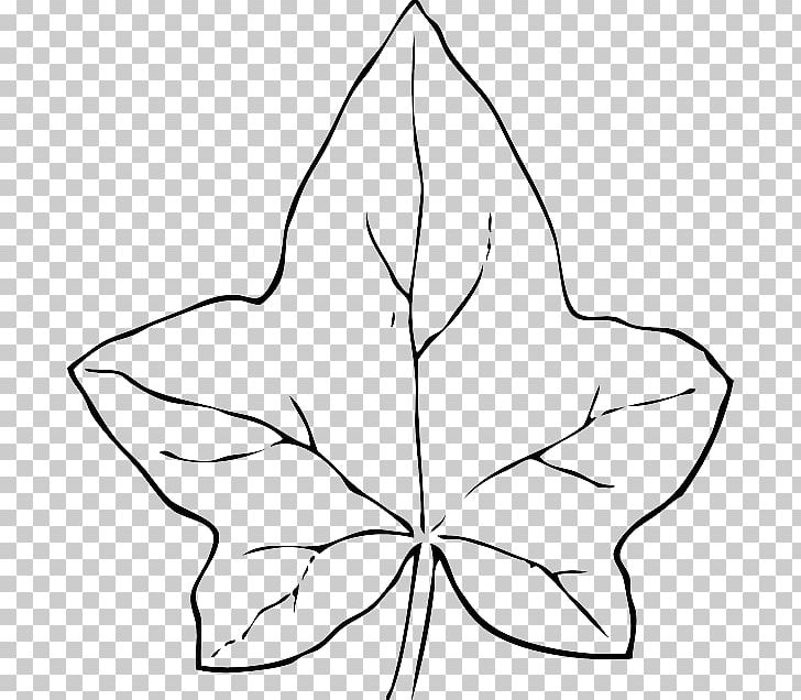 Pumpkin Leaf Vine PNG, Clipart, Angle, Area, Artwork, Black And White, Branch Free PNG Download