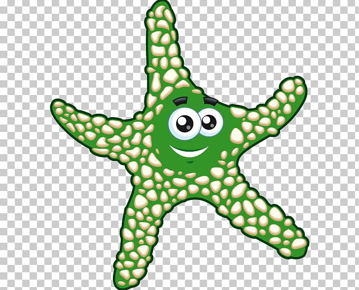 Starfish Drawing PNG, Clipart, Adobe Illustrator, Animals, Area, Background Green, Cute Free PNG Download