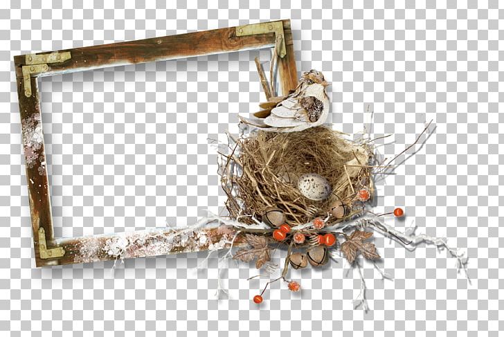 Border Frame Animals PNG, Clipart, Animals, Birds, Birds Nest, Border, Border Frame Free PNG Download