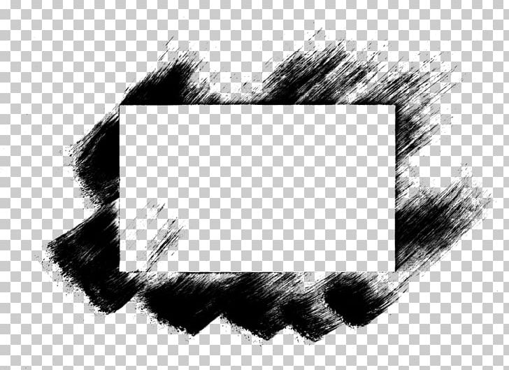 Brush Photography PNG, Clipart, Black, Black And White, Brush, Fur, Image File Formats Free PNG Download