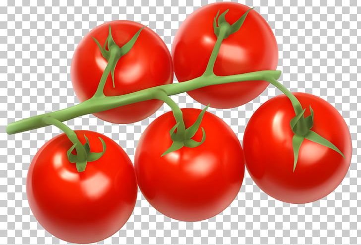 Cherry Tomato Vegetable Bush Tomato PNG, Clipart, Acerola Family, Bell Peppers And Chili Peppers, Bush Tomato, Cherry, Food Free PNG Download