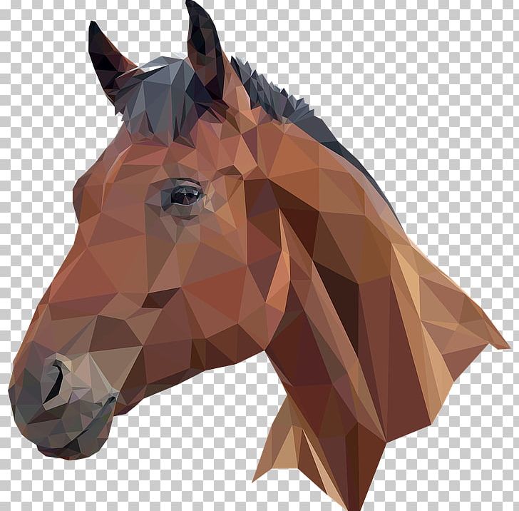 Horse Head Mask T-shirt PNG, Clipart, Animals, Autocad Dxf, Bridle, Collar For A Horse, Computer Icons Free PNG Download
