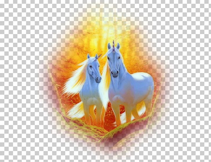 Horse Party Birthday Unicorn Parchment PNG, Clipart, 1 May, Animals, Birthday, Canel, Computer Wallpaper Free PNG Download