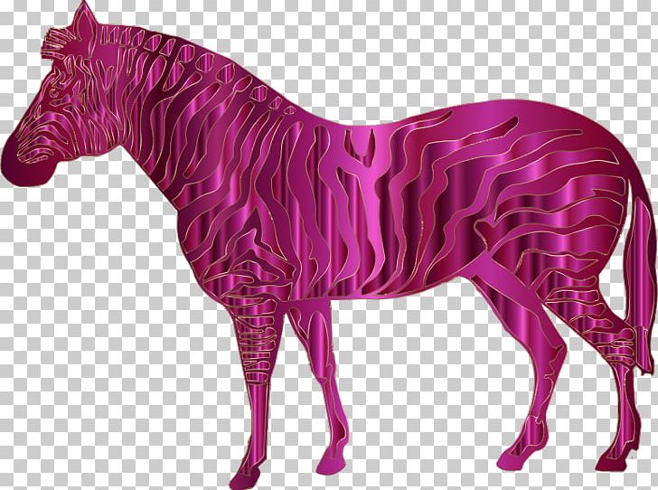 Mane Pony Quagga Stallion Mustang PNG, Clipart, Animal Figure, Computer Icons, Fuchsia, Gdj, Horse Free PNG Download