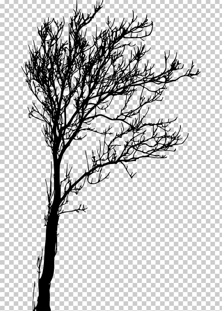 Twig Tree Branch PNG, Clipart, Bare, Black And White, Branch, Desktop Wallpaper, Drawing Free PNG Download