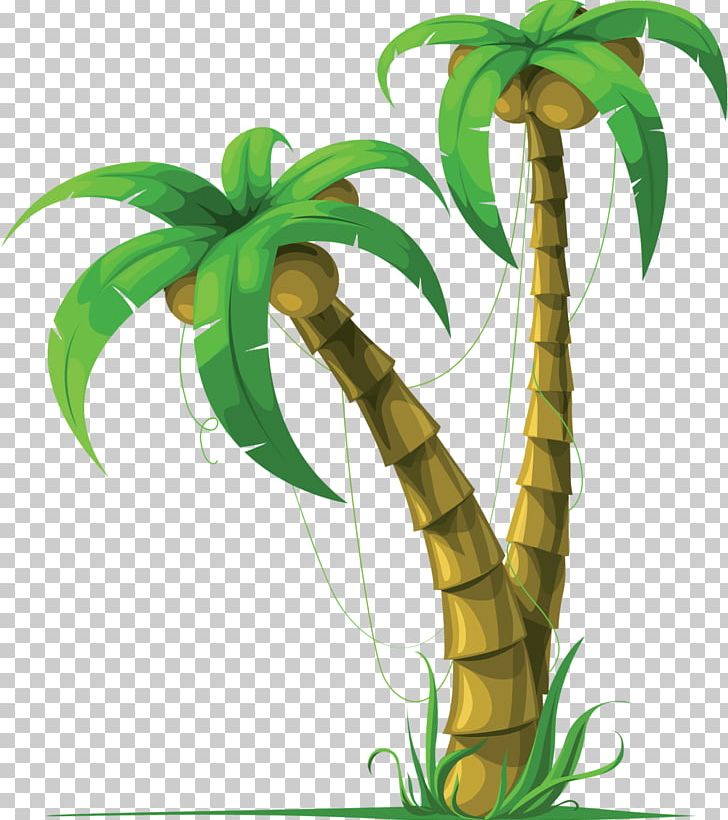 Coconut Arecaceae Tree PNG, Clipart, Arecaceae, Arecales, Clip Art, Coconut, Coconut Tree Free PNG Download