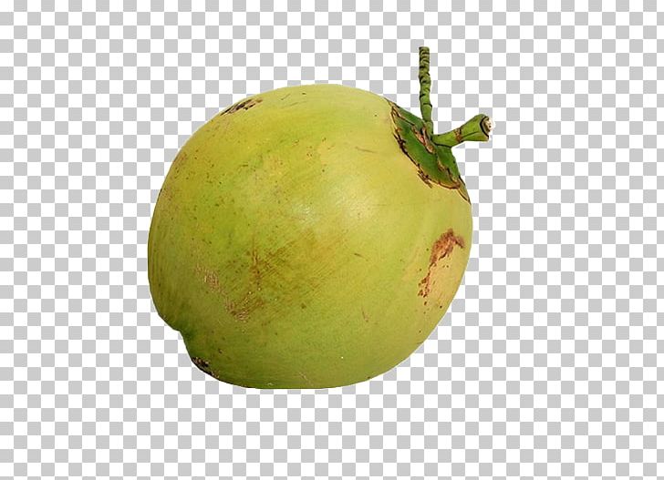 Coconut Water Coconut Milk Coconut Oil PNG, Clipart, Agriculture, Apple, Auglis, Citrus, Coconut Free PNG Download
