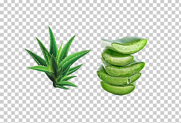 Aloe Vera Extract Gel Skin Moisture PNG, Clipart, Acne, Aloe, Aloin, Background Green, Chemical Substance Free PNG Download