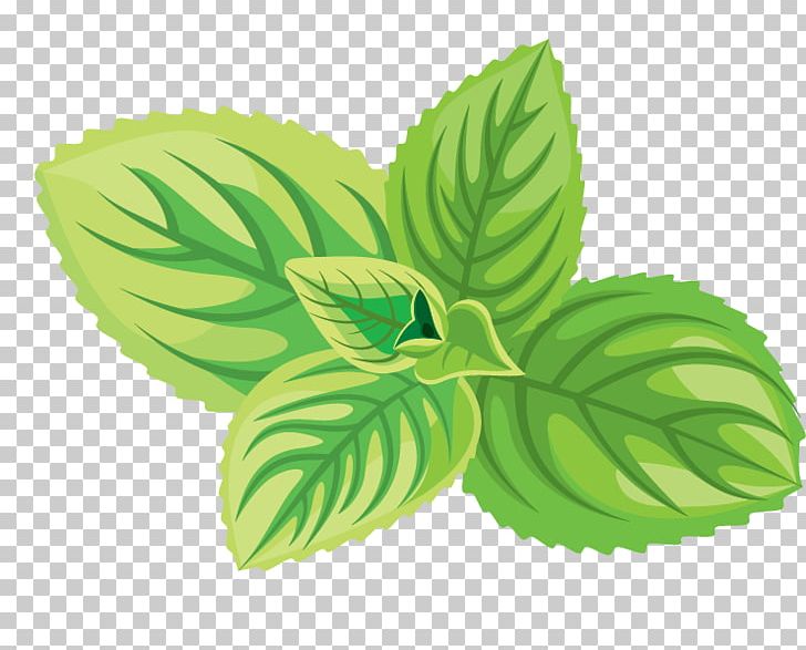Green Tea Cosmetics Herb Icon PNG, Clipart, Aromatic Herbs, Cosmetics, Creative Market, Green, Green Tea Free PNG Download
