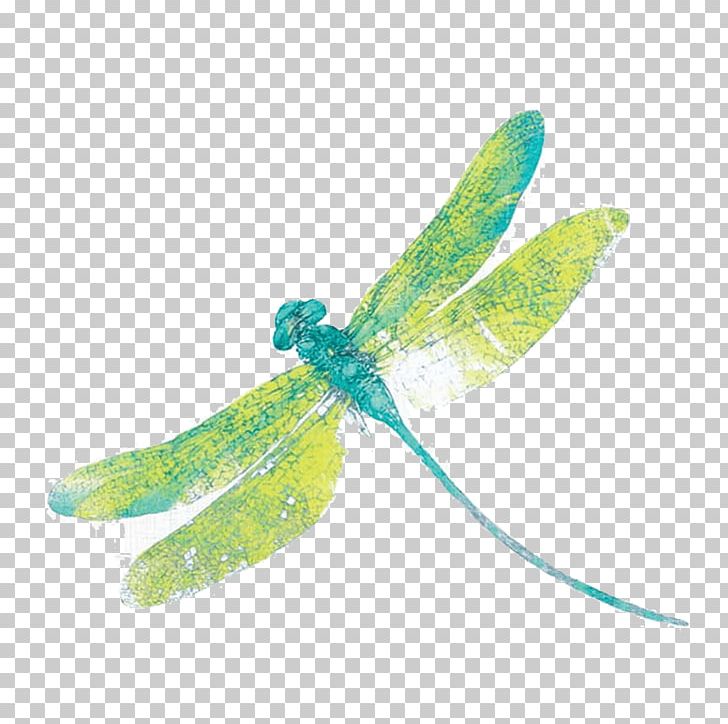 Insect Osborne & Little Dragonfly Textile PNG, Clipart, Amp, Animals, Designer, Desktop Wallpaper, Dragonflies And Damseflies Free PNG Download
