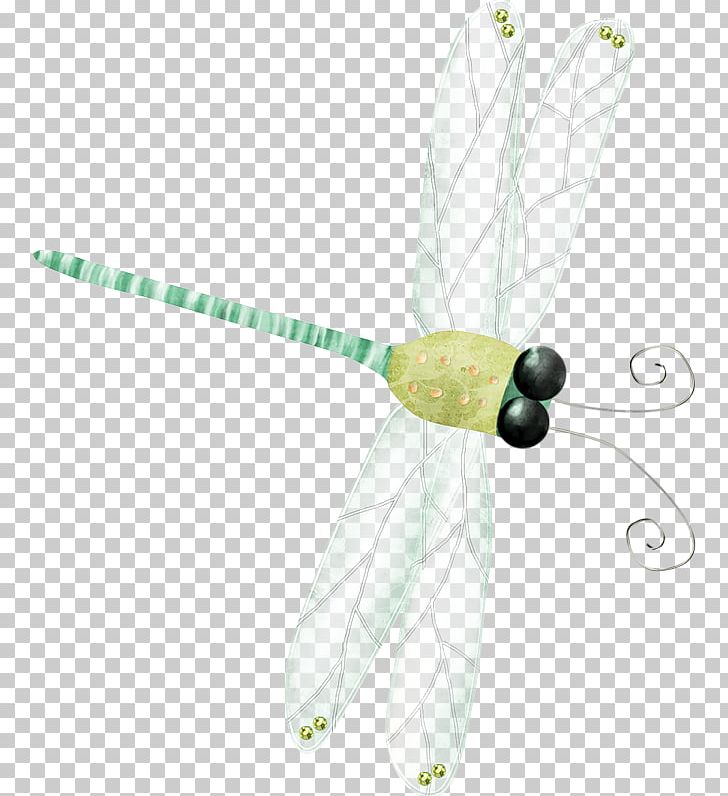 Dragonfly PNG, Clipart, Animal, Animals, Cartoon, Designer, Download Free PNG Download
