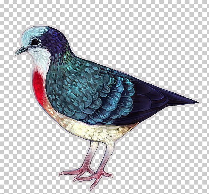 Beak Fauna Galliformes Feather PNG, Clipart, Animals, Beak, Bird, Bleeding Heart, Fauna Free PNG Download