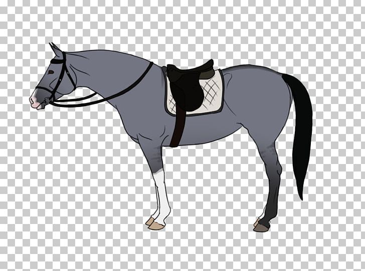 Mane Mustang English Riding Stallion Pony PNG, Clipart, Bridle, English Riding, Equestrianism, Equestrian Sport, Halter Free PNG Download