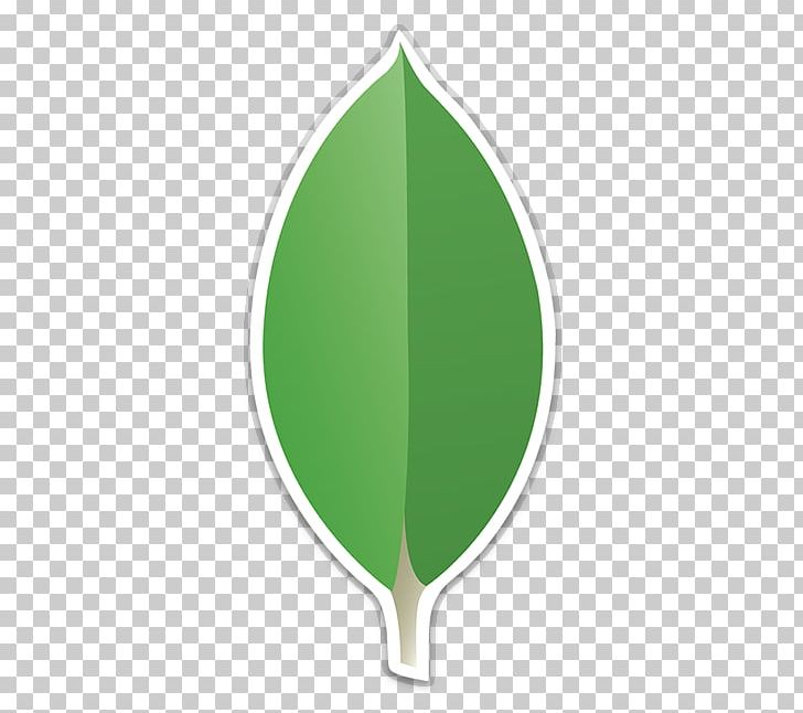 MongoDB Inc. Computer Software Business Software Developer PNG, Clipart, Bay Leaves, Business, Business Software, Company, Computer Software Free PNG Download