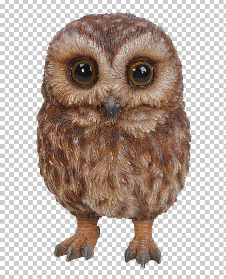 Tawny Owl Bird Of Prey Garden Ornament PNG, Clipart, Animal, Animals, Barn Owl, Beak, Bird Free PNG Download