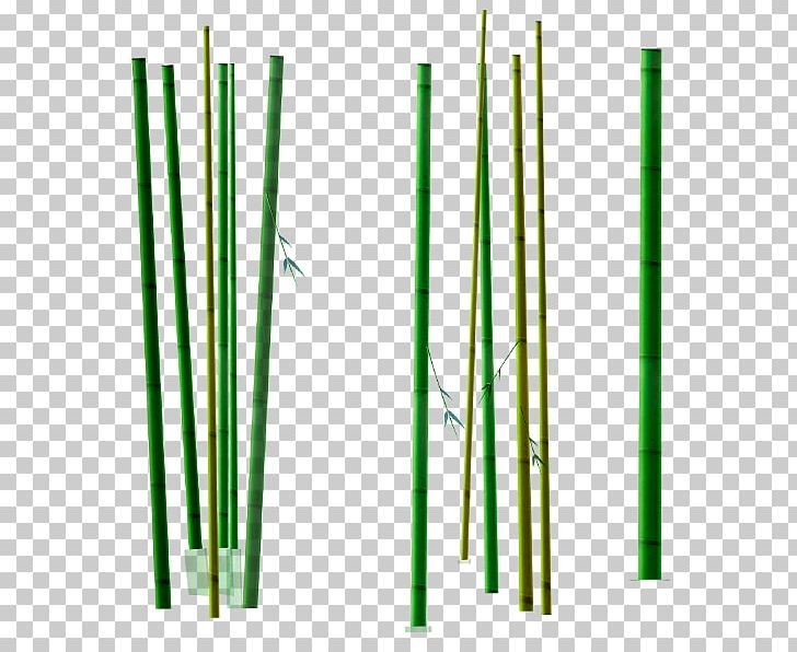 Bamboo PNG, Clipart, Angle, Animation, Bamboo, Bamboo Border, Bamboo Frame Free PNG Download