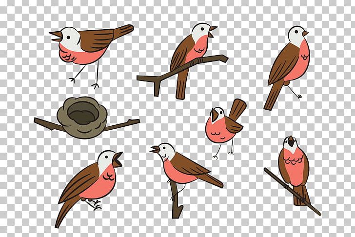 Bird Swallow Cartoon PNG, Clipart, Animal, Animals, Beak, Bird, Bird Nest Free PNG Download