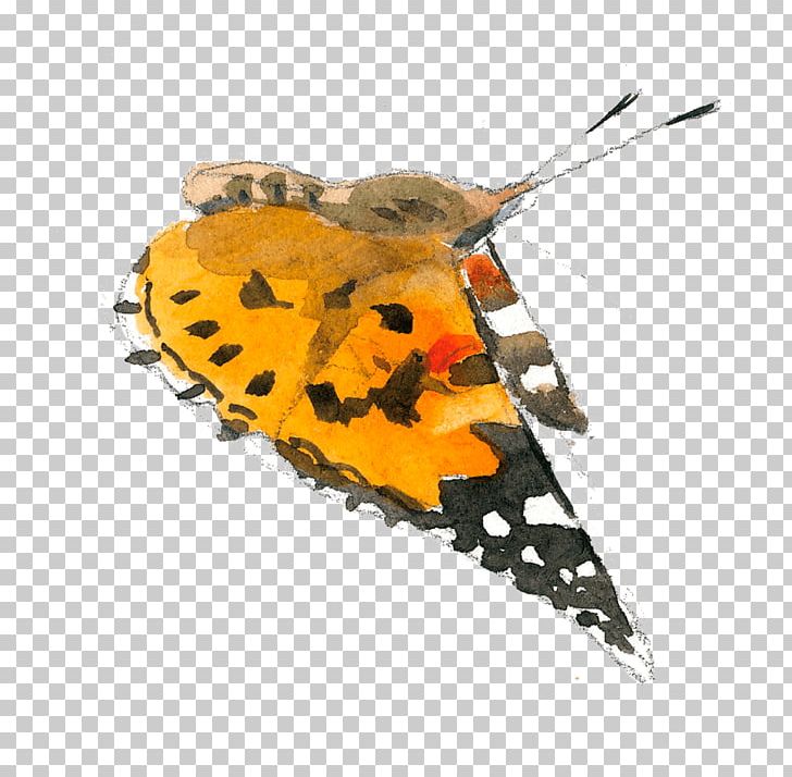 Butterfly Painted Lady Pterygota Corn Autumn PNG, Clipart, Autumn, Butterfly, Corn, Fire Salamander, Flower Free PNG Download