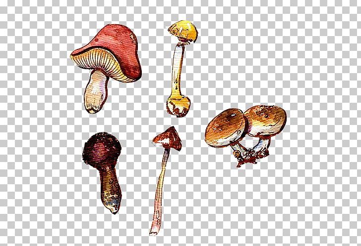 Mushroom PNG, Clipart, Flat, Flat Mushrooms, Hand, Hand Drawn, Hand Drawn Arrows Free PNG Download
