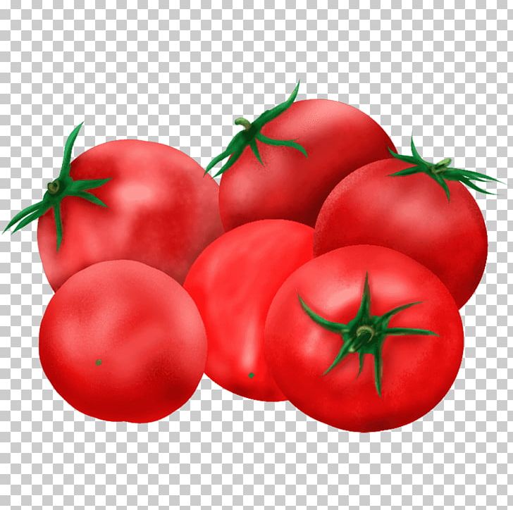 Plum Tomato T-shirt Bush Tomato Food PNG, Clipart, Art, Bush Tomato, Clothing, Diet Food, Food Free PNG Download